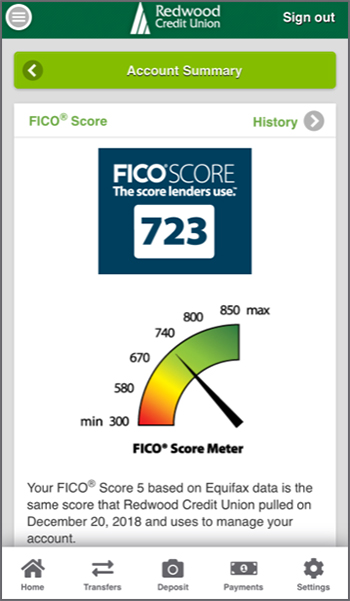 Image of an example of a FICO<sup>&reg;</sup> Score Page