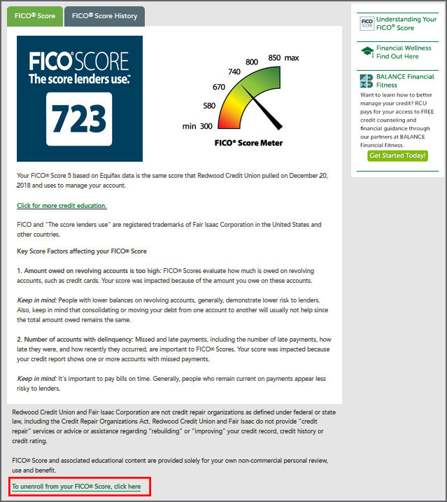 Image of an example of a FICO<sup>&reg;</sup> Score Page