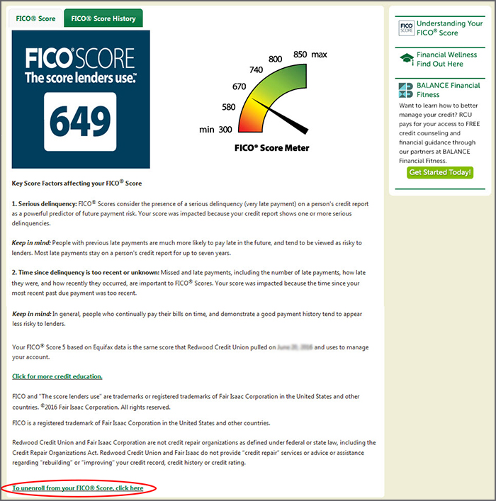 Image of an example of a FICO<sup>®</sup> Score Page