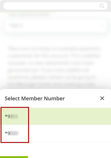 View eStatements in mobile, step 4