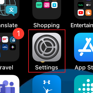 settings icon on an iphone
