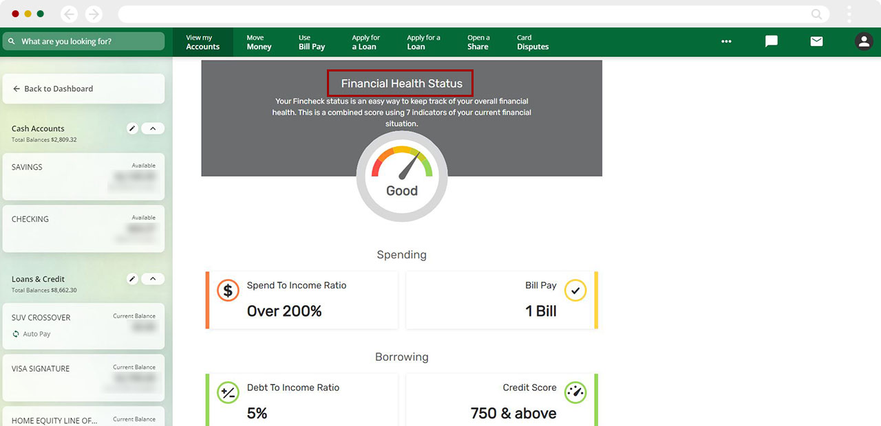How to use financial health check up desktop step 8