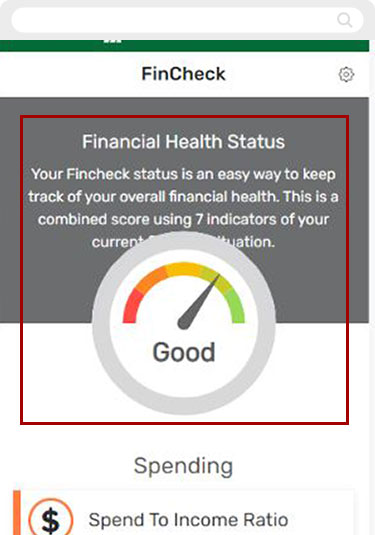 How to use financial health check up mobile step 8