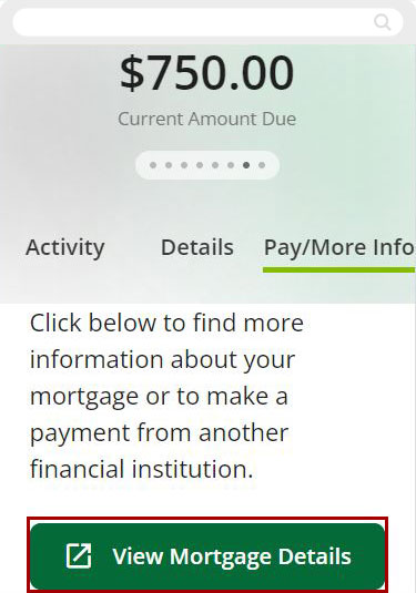 Screenshot of navigating to View More Details on mobile devices