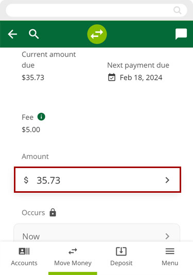 Paying a loan with a debit card in mobile, step 5