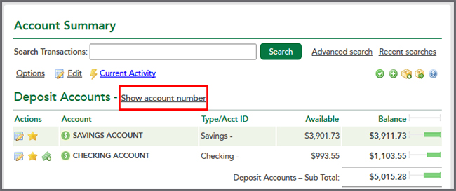 Accoun Summary - Show Account Number Link
