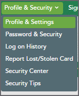 Profile & Security Menu and Profile & Settings
