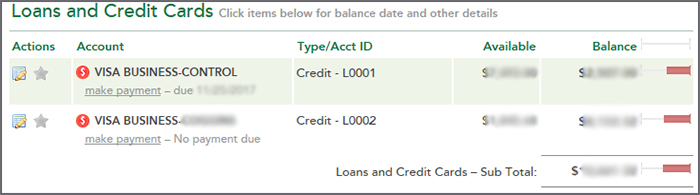 Visa Business Loan Examples