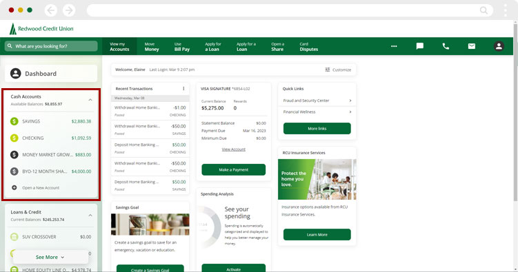 Screenshot of where to check account balance on desktop