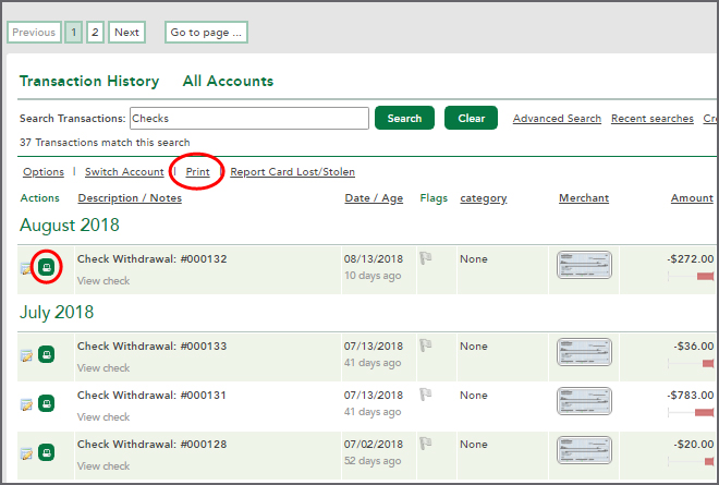 Checks page on Accounts Summary.