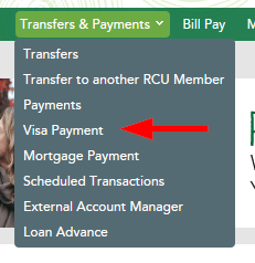 Transfers & Payments - Visa Payment