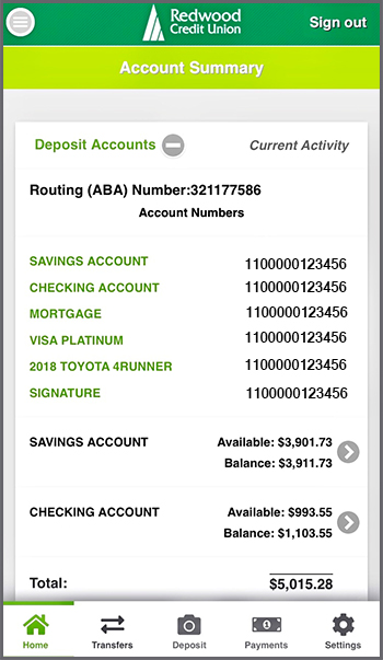 Account Number display in the mobile app