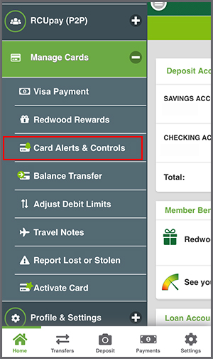 Card Alerts & Controls menu