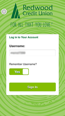 Mobile App Login