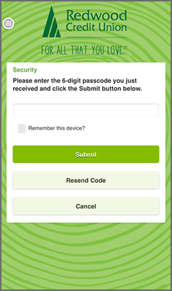 Security Passcode Entry Page