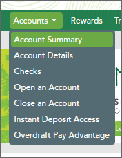 Account Summary Menu