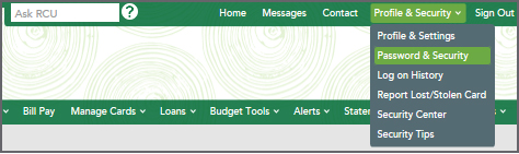 Image of Password & Security Menu