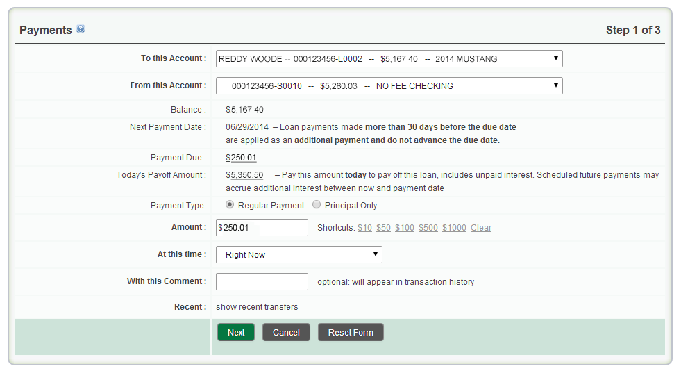 Make a Loan Payment