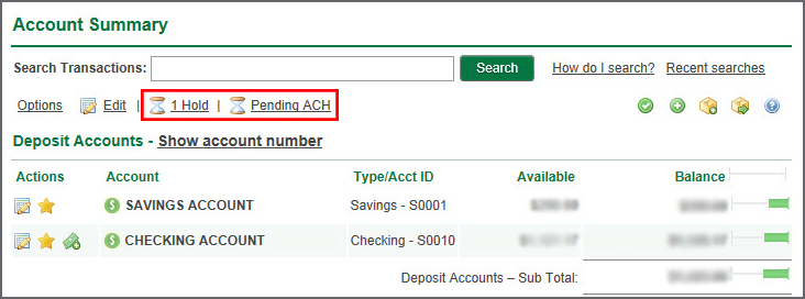 Account Summary with example of pending holds