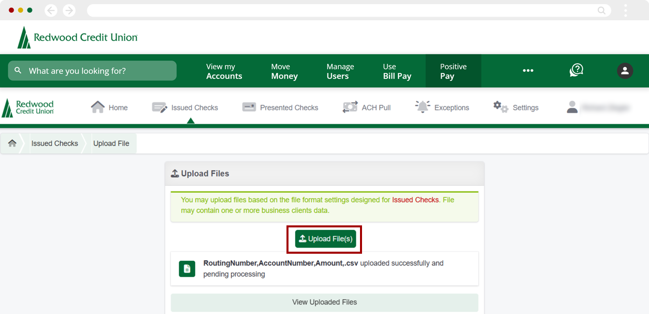 Enter checks manually in Positive Pay, step 11