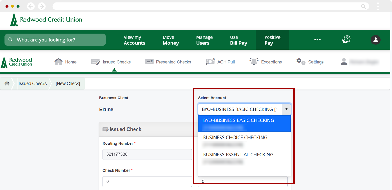 Enter checks manually in Positive Pay, step 4