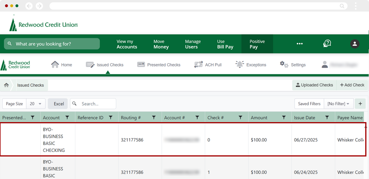 Enter checks manually in Positive Pay, step 6