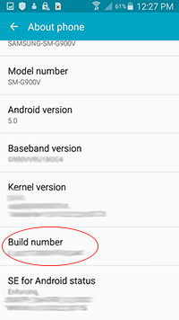 Build Number