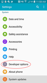 Developer Options