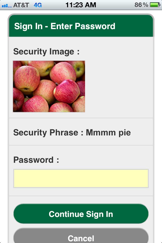 Security Picture