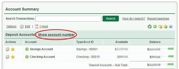 Accoun Summary - Show Account Number Link