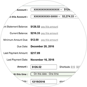 Make a Payment section
