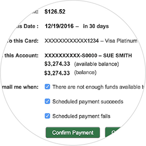 Verify your payment section