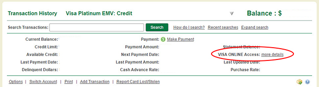 Visa Online Access to more details